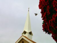 Church Steeple