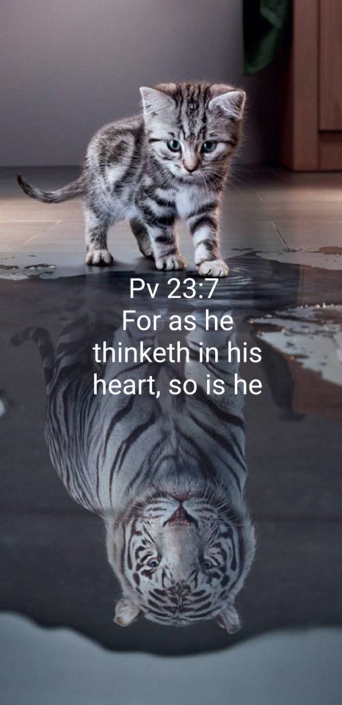 Proverbs 23 7 with tiger