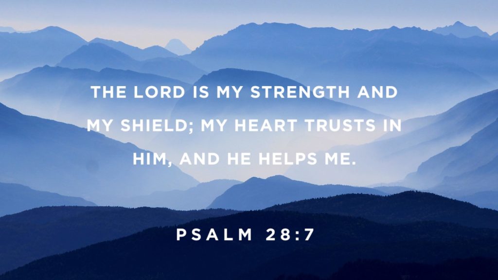 Psalm 28 v 7