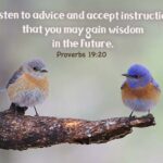 Proverbs 19 20