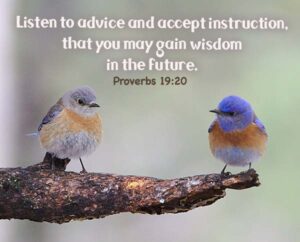 Proverbs 19 20