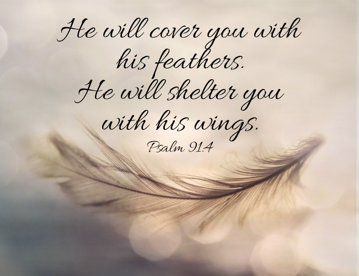 Psalm 91 v 4